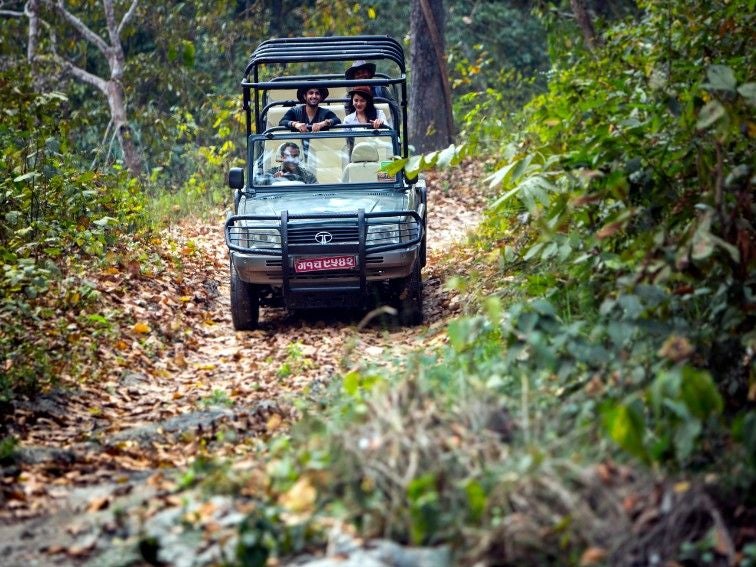 Elegant safari lodge with thatched roof villas nestled along Nepal's riverbank, surrounded by lush tropical gardens and jungle backdrop