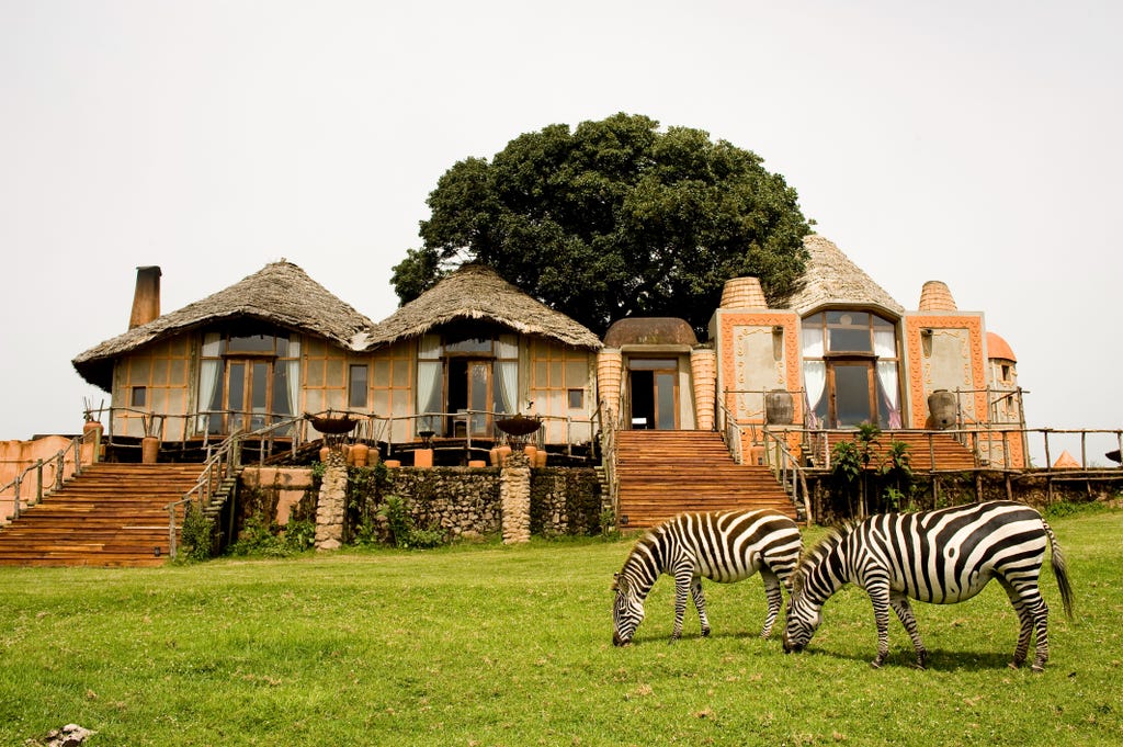 Honeymoon on Safari in Tanzania