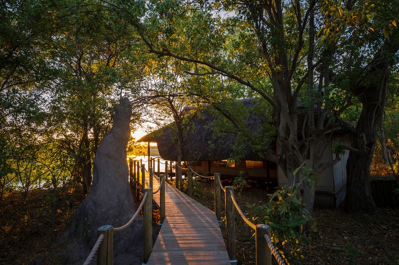 Elevated safari lodge overlooking African savanna with private deck, thatched roof, canvas walls, and plush outdoor furniture