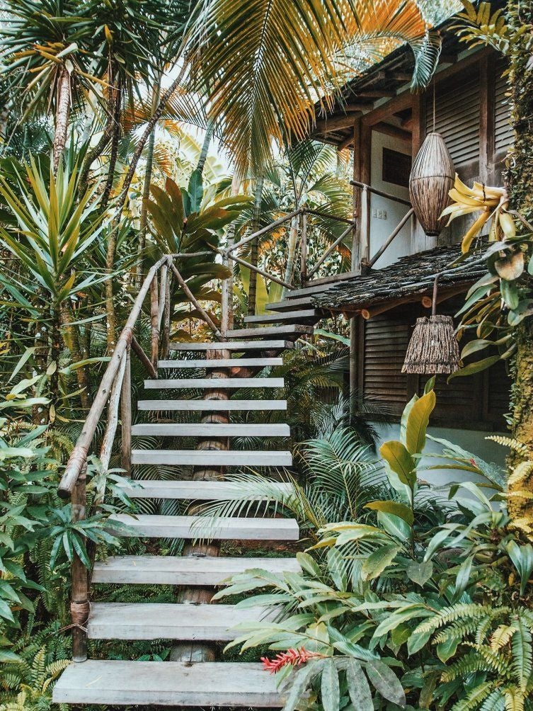 Rustic wooden interior of luxurious Brazilian hotel suite with traditional architectural details, vibrant textiles, and natural light streaming through windows