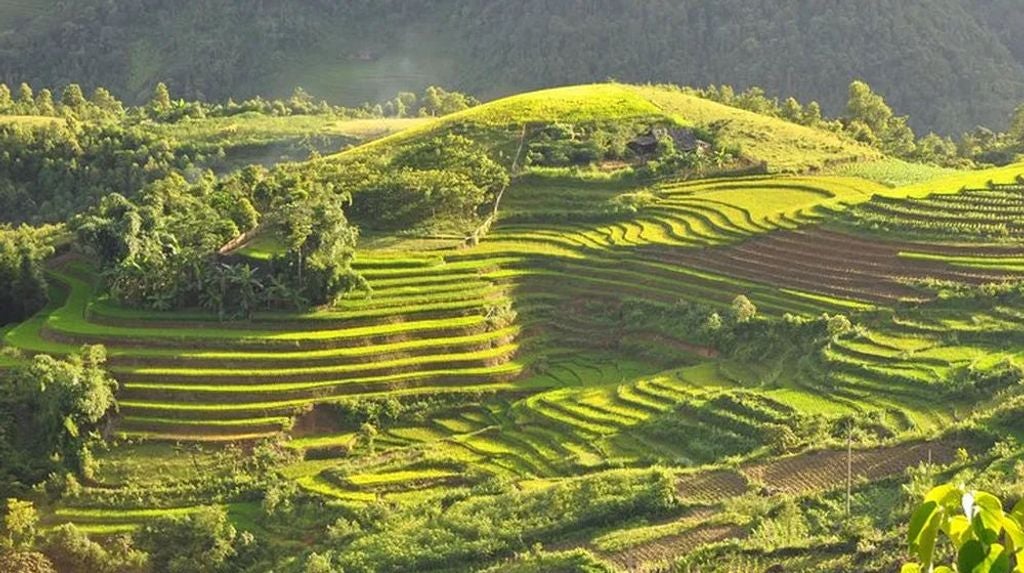 Lush green rice terraces of Jatiluwih UNESCO Site with traditional Balinese temple, guided trekking path, and misty mountain backdrop in scenic Indonesia