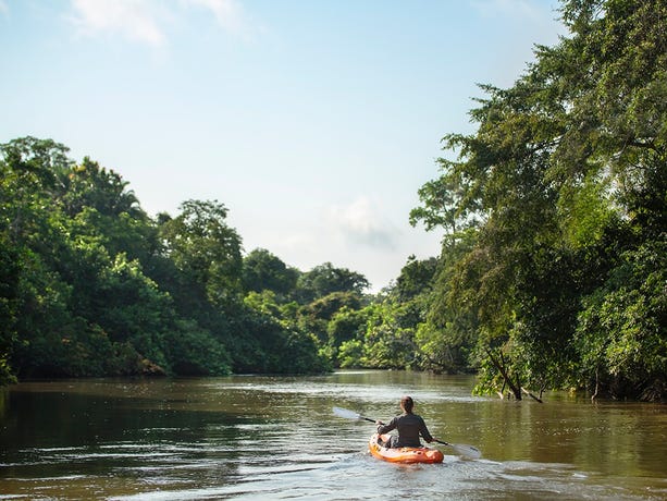 Hop in a kayak to explore the rivers and estuaries of Odzala