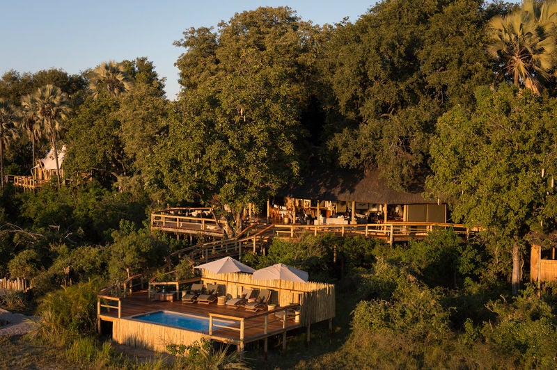 Elevated safari lodge with thatched-roof suites nestled among palm trees, overlooking flooded Okavango Delta grasslands at sunset