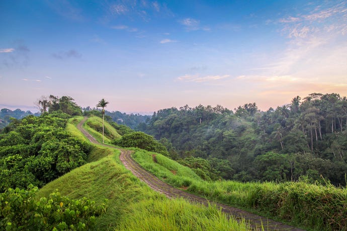 Sunrise sky over the serene Campuhan Ridge
