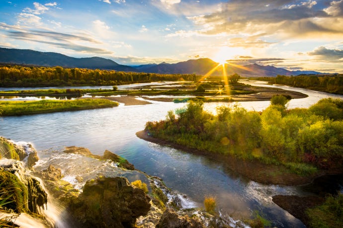 The Snake River
