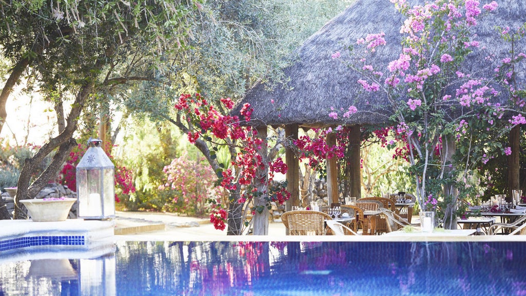 Historic Spanish luxury hacienda with whitewashed walls, climbing vines, rustic wooden doors, and elegant terracotta courtyard