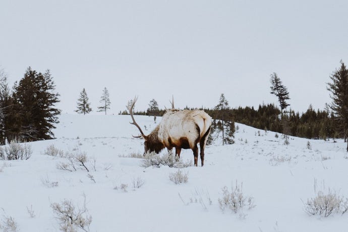 Spotting wildlife along the trails