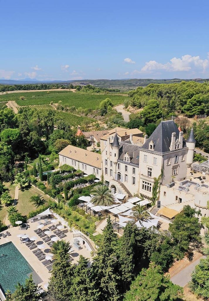 Luxurious French château nestled in vineyard landscape, featuring elegant stone architecture, manicured gardens, and rolling countryside views at sunset