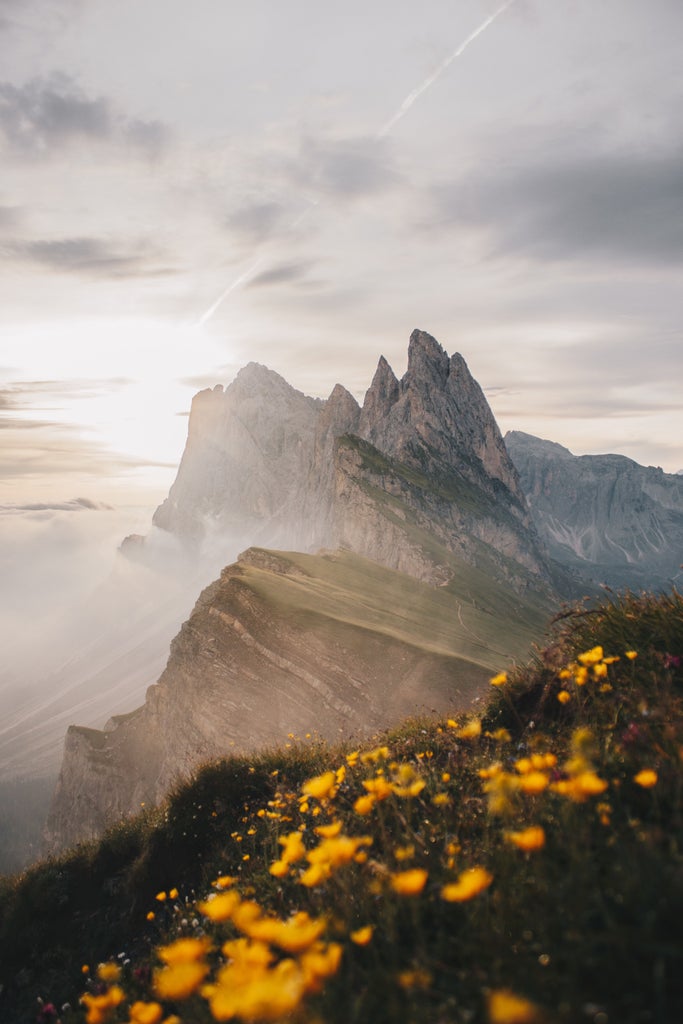 Dramatic snow-capped peaks of the Italian Dolomites rise above a lush alpine meadow, sunlight illuminating their rugged limestone faces