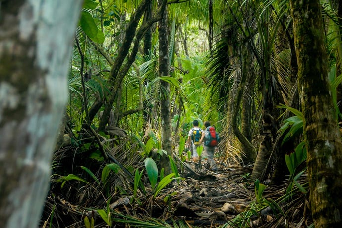 meandering trails through stunning rainforests