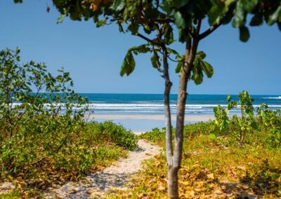 Luxurious beachfront resort with palm-lined infinity pool overlooking pristine Costa Rican coastline, modern architecture blending seamlessly with tropical landscape.