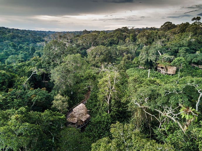 Relax in the clouds at Ngaga Camp between gorilla treks