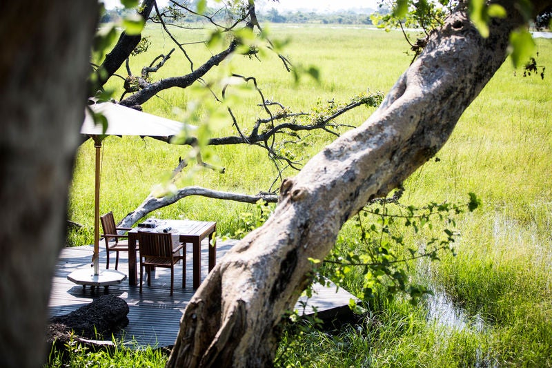 luxurious Wilderness Abu lodge nestled amid verdant palm groves, with raised wooden walkways connecting thatched-roof suites over grasslands