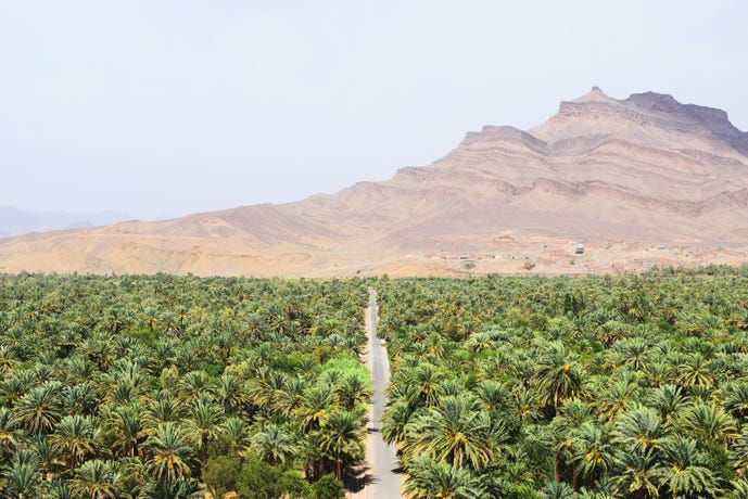 Skoura Valley, Ouarzazate
