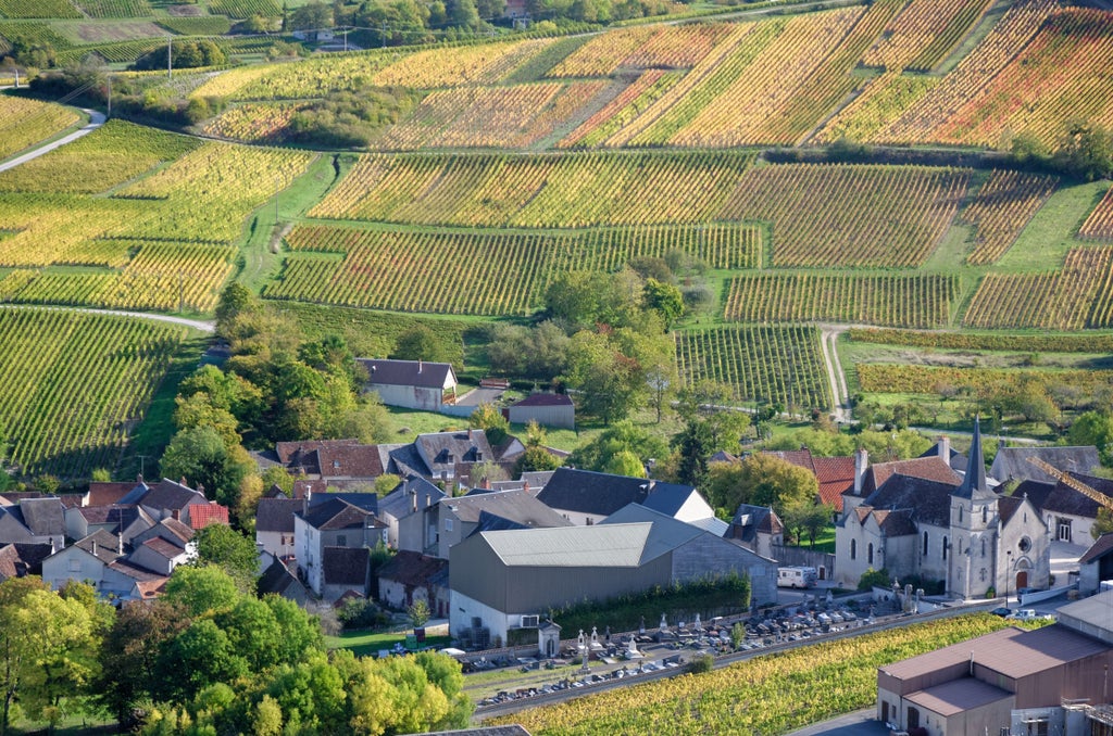 Loire Valley's iconic stone chateau surrounded by manicured gardens, reflecting in calm waters under a golden sunset sky