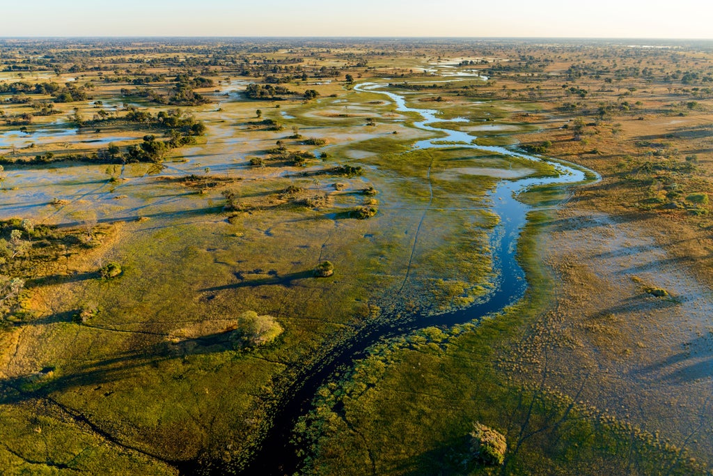 Aerial view of pristine Okavango Delta waterways winding through lush green islands, with luxury safari camps dotting the landscape