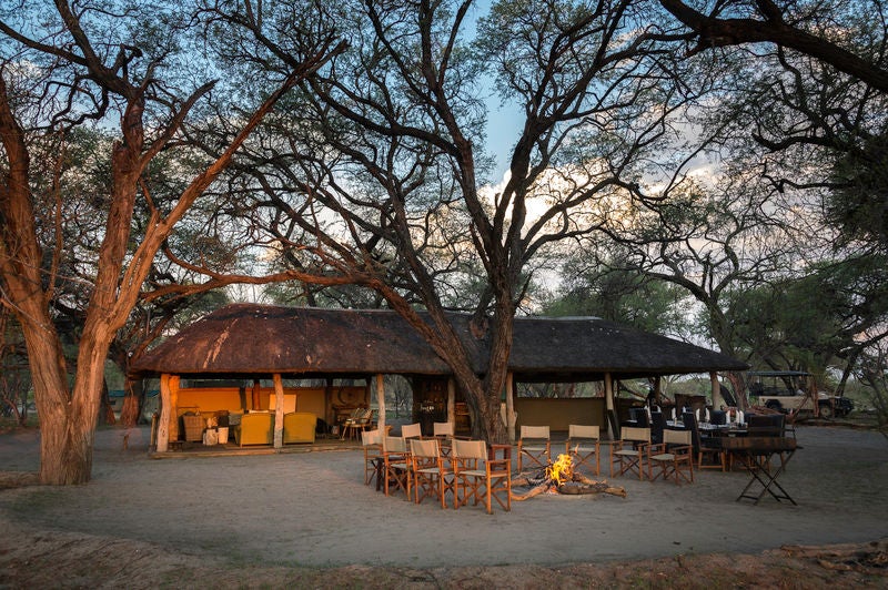 Elevated safari tent lodge with private deck overlooking Okavango Delta wetlands, surrounded by lush acacia trees at golden hour