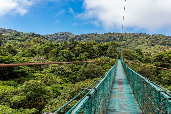 Walk above the treetops on one of Costa Rica's many suspended footbridges