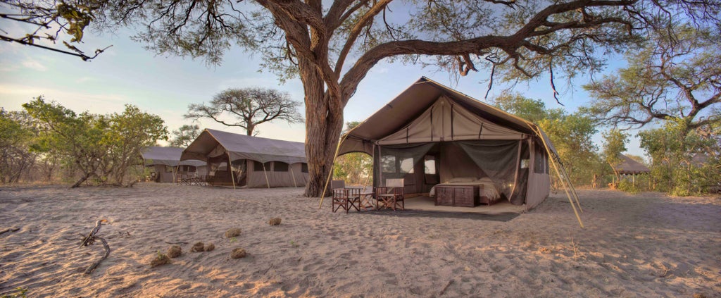 Luxurious safari tent camp with canvas suites nestled among acacia trees at sunset, overlooking Savute's rugged wilderness