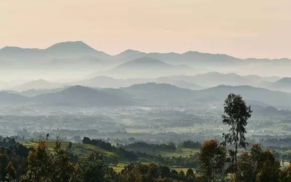 Luxurious eco-lodge nestled in lush Rwandan rainforest, with modern timber-clad suites overlooking misty mountain landscape near gorilla habitat.