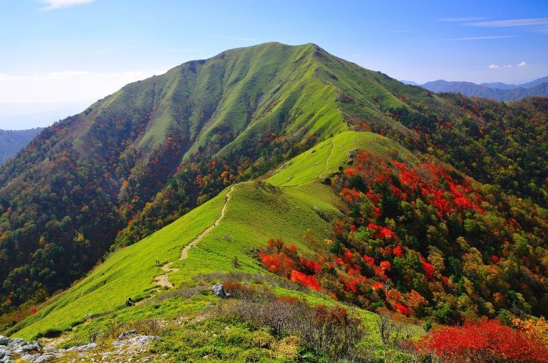 Traditional Japanese onsen hotel perched on mountainside with outdoor infinity hot spring pool overlooking misty Iya Valley forest