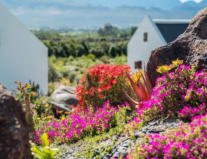 The Winelands have many incredible farms and wine estates where you can stay for a long weekend and go for a serious gourmet adventure