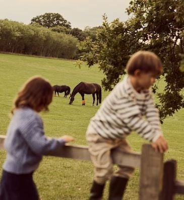 Luxurious country estate hotel with manicured gardens, white Georgian-style mansion, rolling green lawns, and elegant landscape in rural United Kingdom