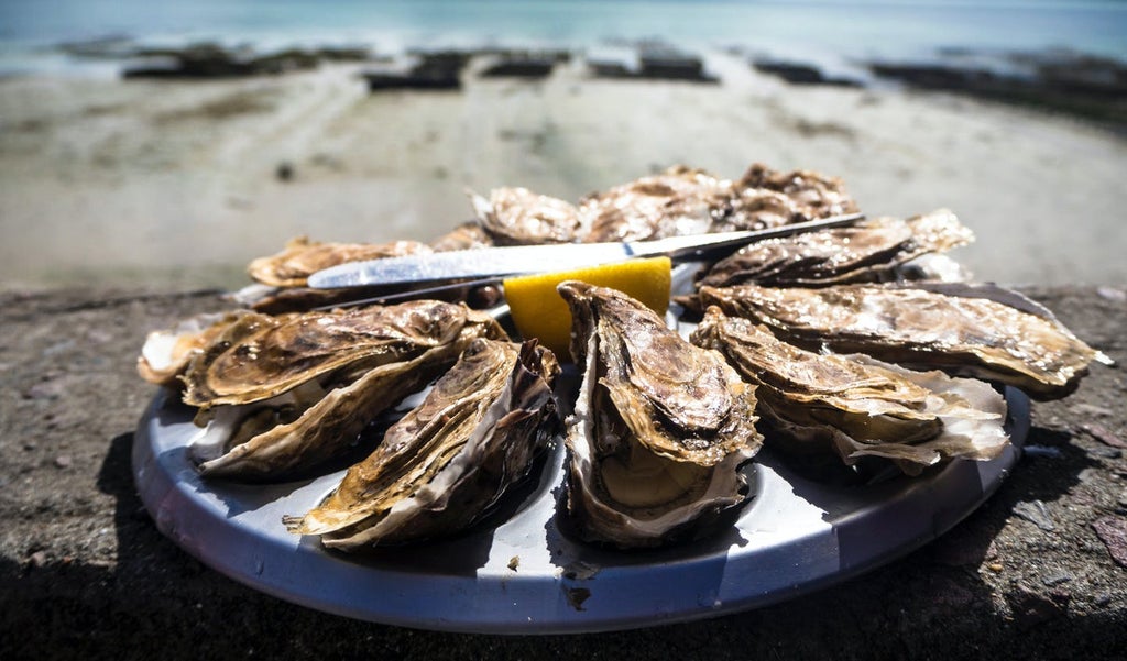 Traditional Croatian oyster farming experience with a local boat moored beside wooden jetty, rustic tables set for tasting by the sea