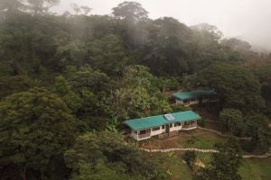 Luxurious eco-lodge nestled in Costa Rican cloud forest, featuring floor-to-ceiling windows, natural wood decor, and panoramic mountain landscape views.