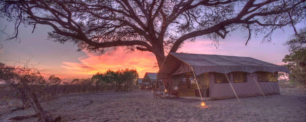 Luxurious safari tent camp with canvas lodgings nestled in Botswana wilderness, illuminated by warm lanterns at dusk alongside acacia trees