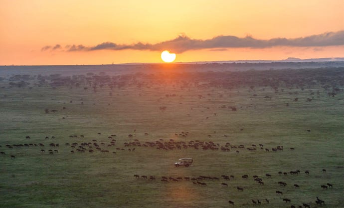 Traverse the vast plains of the Northern Serengeti on your game drives
