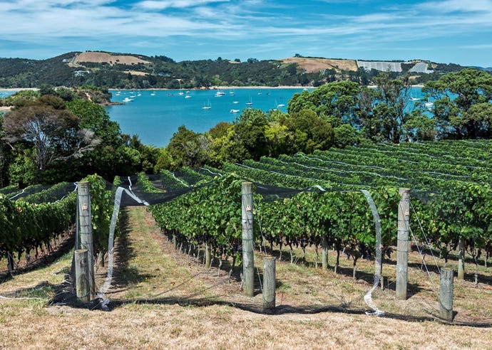 Wineries on Waiheke Island
