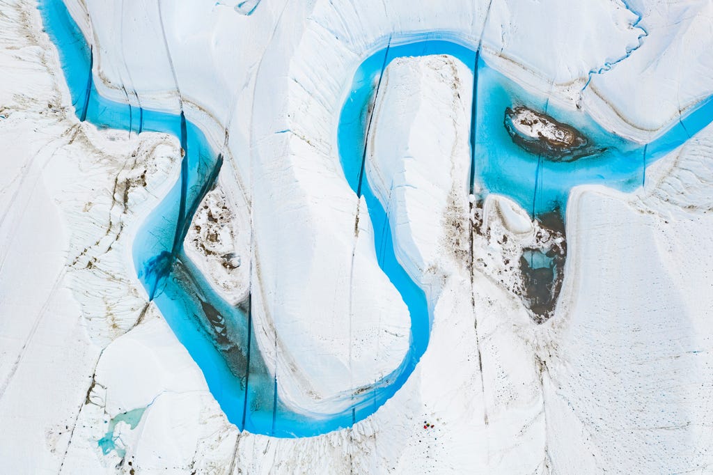 Going Green on the White Desert, Antarctica