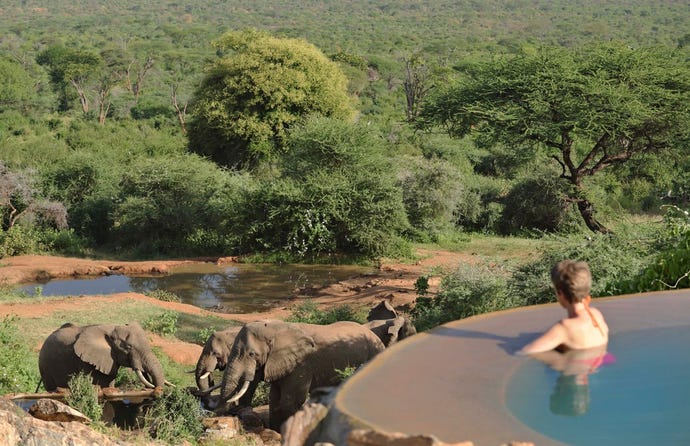 Pool with a view has a whole new meaning in Kenya