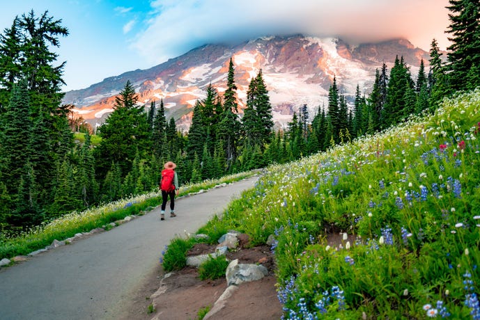 The start of the Skyline Trail in Paradise
