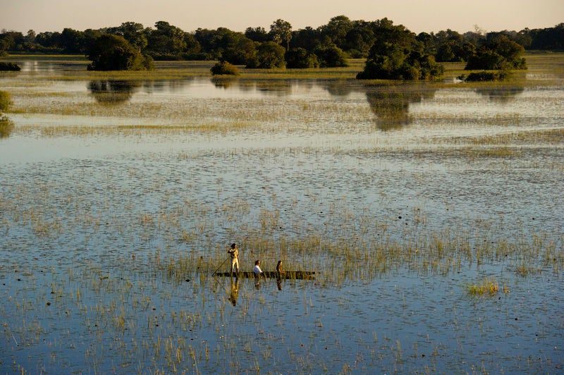 Elevated luxury safari lodge with thatched-roof suites overlooking flooded Okavango Delta marshlands at golden hour