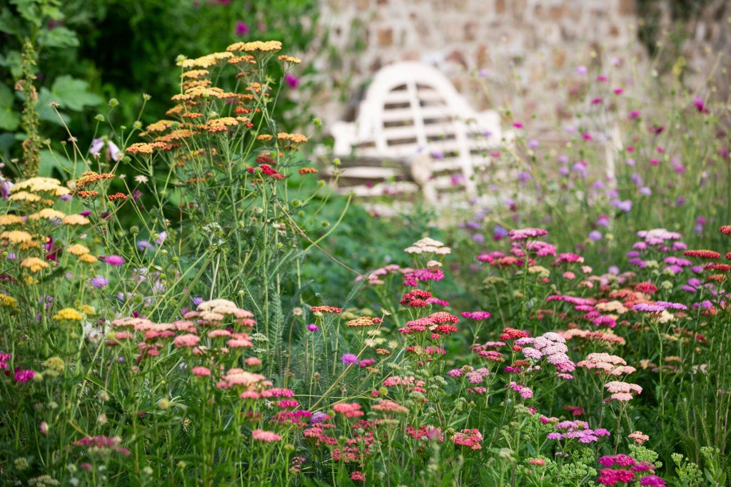 Elegant stone manor house nestled in lush Welsh countryside, showcasing refined luxury with manicured gardens and traditional architectural charm