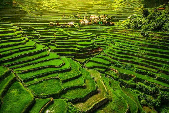 The UNESCO rice terraces of Batad, located in Banaue