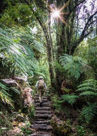 On the trail to waterfalls in Pumalín National Park