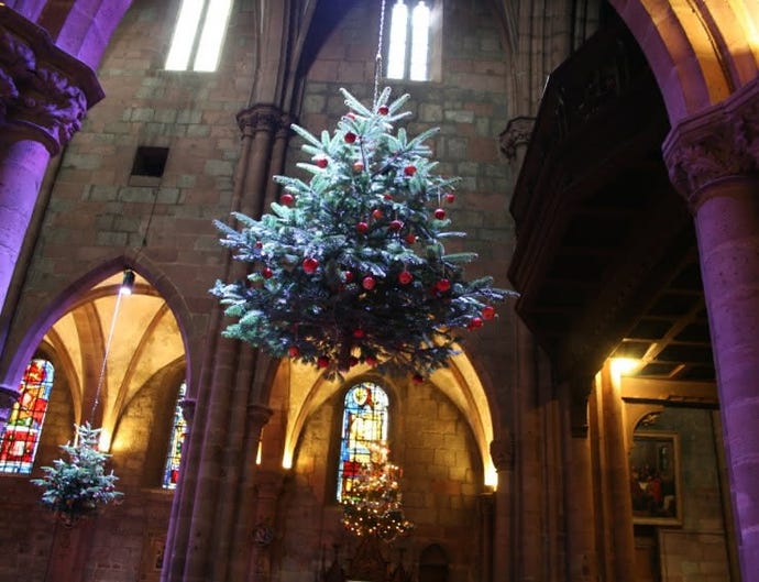 Christmas trees suspended from the ceiling