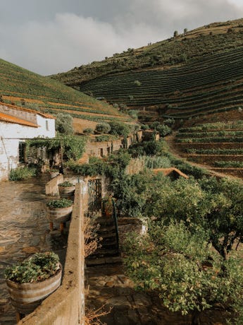 Many wineries have stayed in the family for generations