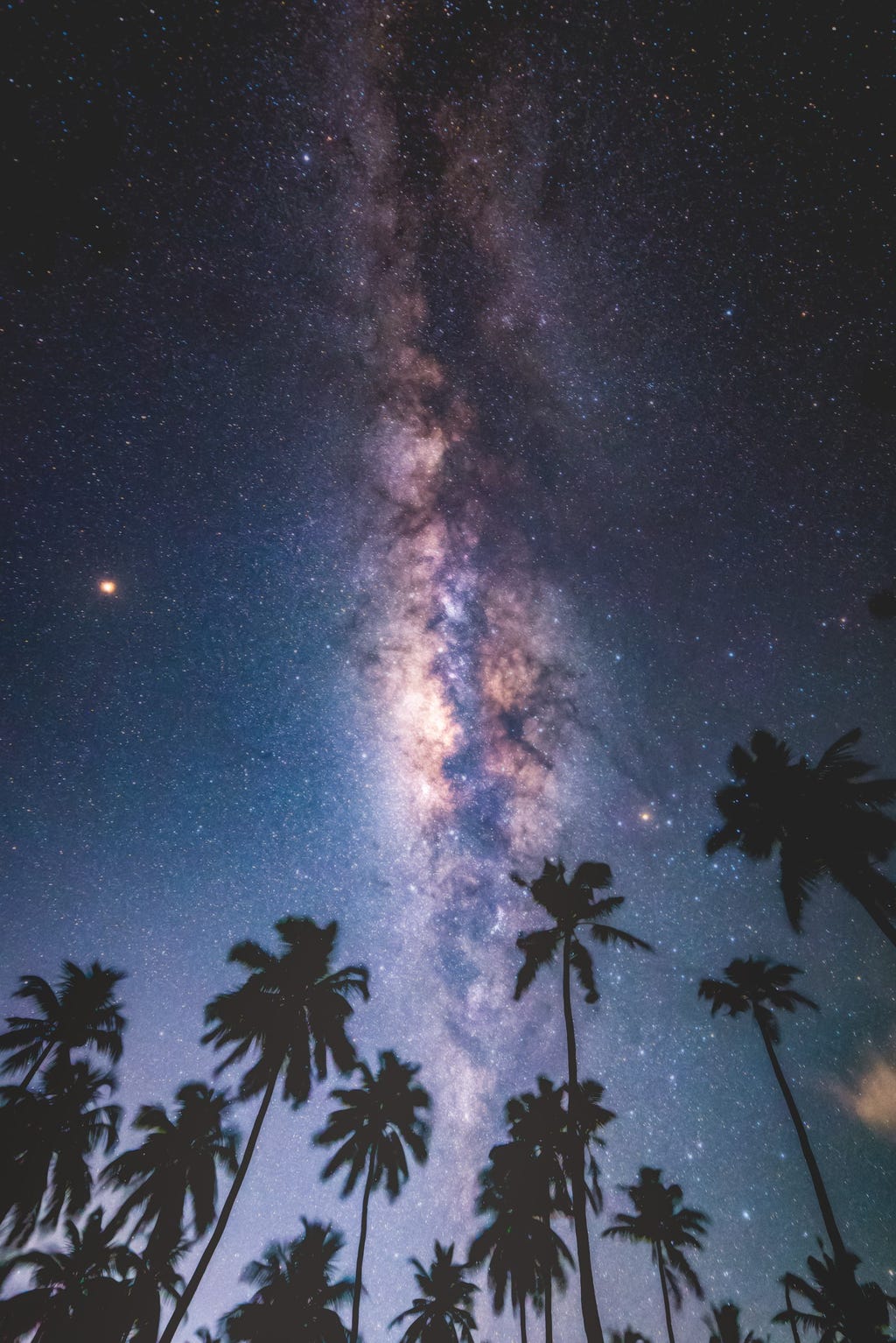 Star Spotting on the Maldives