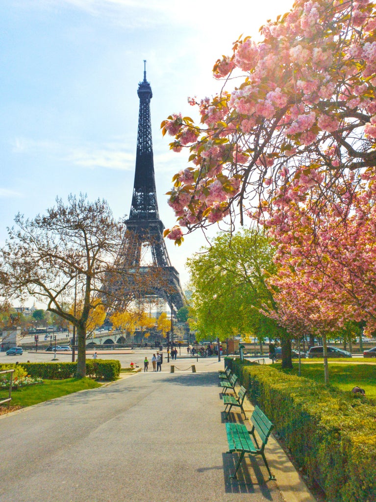 Elegant guide leading travelers through Paris's Champs-Élysées, showcasing luxurious architecture, iconic landmarks, and sophisticated urban streetscape at golden hour