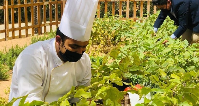 Your private chef for the evening, sourcing ingredients from the property's garden
