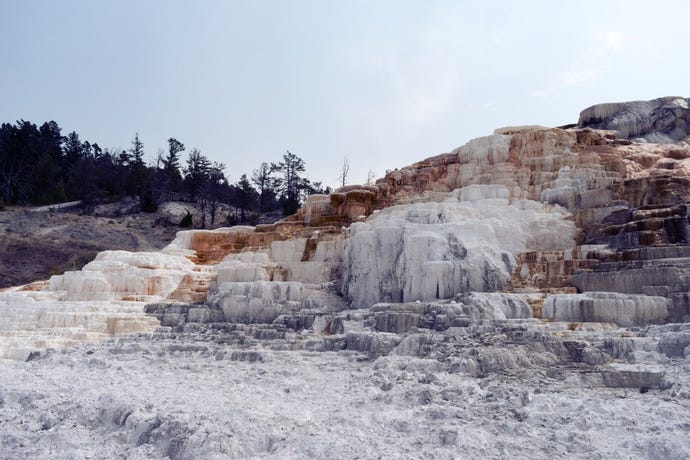 The mammoth hot springs