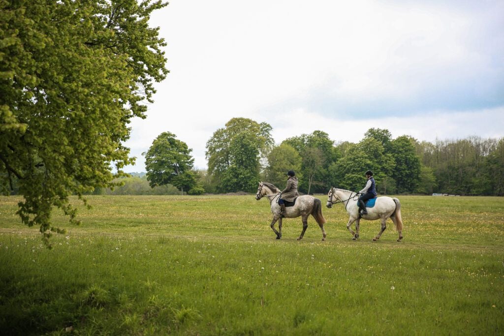 Luxurious countryside estate with grand Georgian-style architecture, manicured gardens, and elegant spa building nestled in lush Wiltshire landscape.