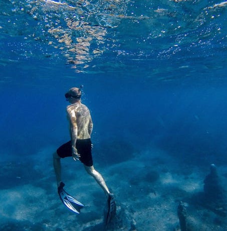 Snorkeling in Komodo
