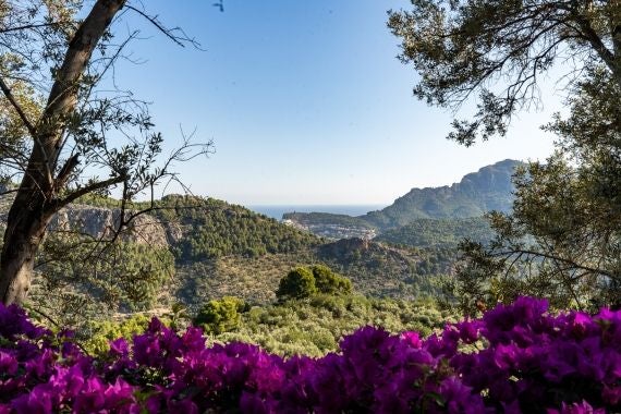 Elegant stone luxury retreat nestled in scenic Spanish landscape, featuring stone walls, lush gardens, and traditional Mediterranean architectural charm at Ca's Xorc Retreat