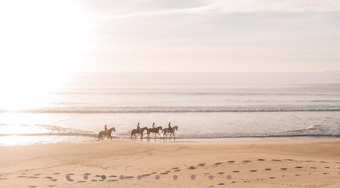 Trot or gallop along the pristine beaches of the Silver Coast