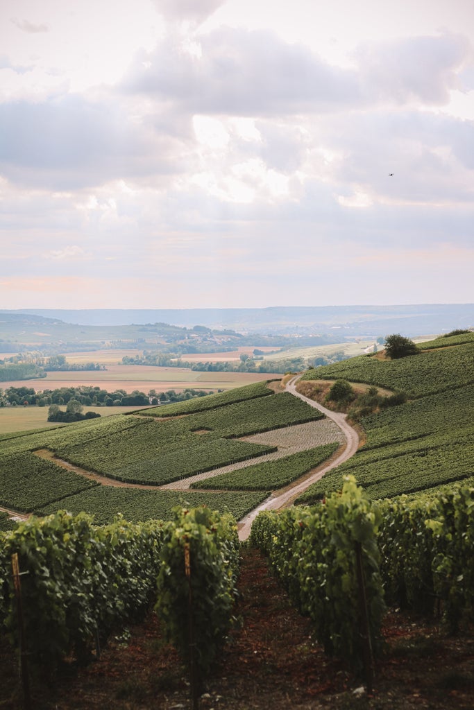 Rolling vineyards of Champagne, golden sunlight, elegant wine glasses, traditional French chateau with manicured gardens in background